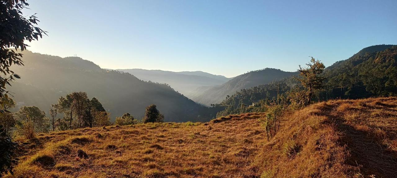 The City Escape Farmstay Shimla Eksteriør bilde